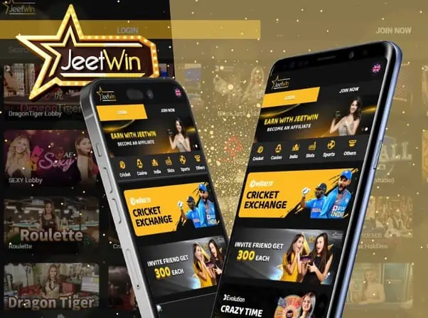 JeeTwin দিয়ে আমার সঞ্চয়ের অগ্রগতি শেয়ার করতে পারি কি?